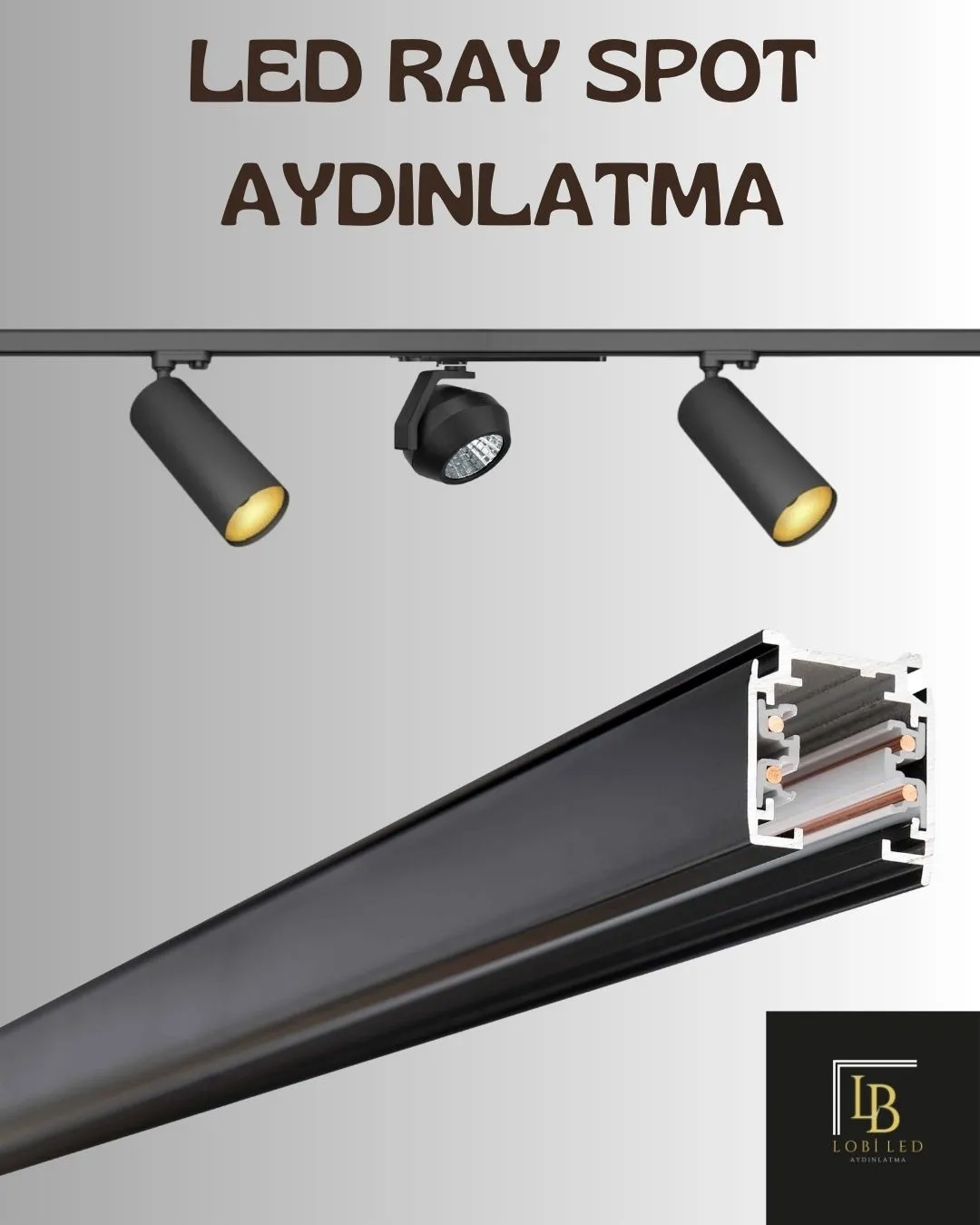 Led Ray Spot Aydınlatma